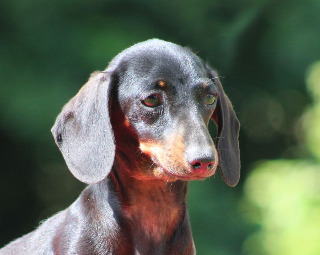 Une histoire sans fin de l'air salin