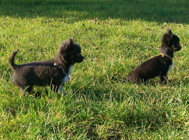 Goldy (Gloria Guess) et Gaïa